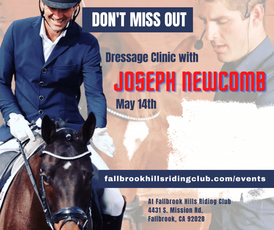 joseph newcomb dressage clinic